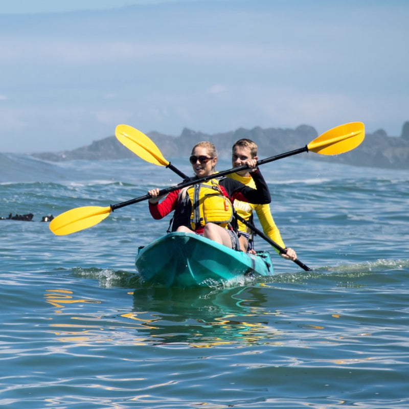 Load image into Gallery viewer, Bluefin 12'0 Tandem Kayak