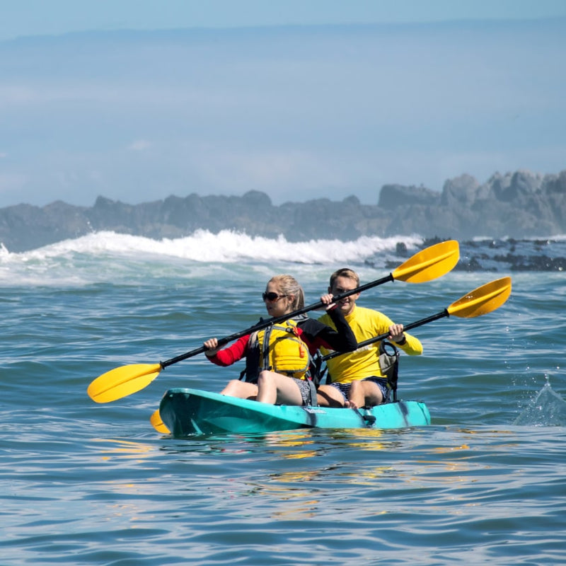 Load image into Gallery viewer, Bluefin 12'0 Tandem Kayak