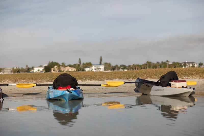 Load image into Gallery viewer, Whale Runner 9'0 Kayak